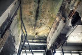 Best Mold Removal for HVAC Installations  in Rainbow Springs, FL